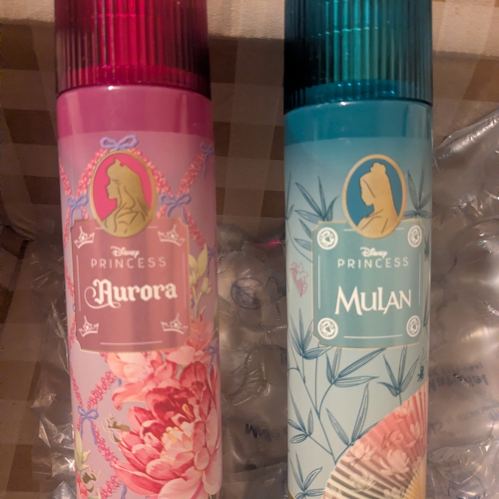 Disney Princess Aurora and Mulan